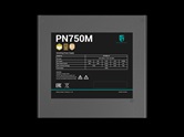 Блок питания Deepcool GAMERSTORM PN750M (ATX 3.1, 750W, Full Cable Management, PWM 120mm fan, Active PFC, 80+ GOLD, Active PFC + Full Bridge SRC LLC + DC/DC, Gen5 PCIe) RET